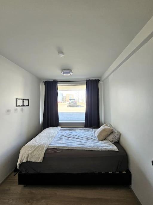 Apartment Near Reykjavik'S Heart Eksteriør bilde